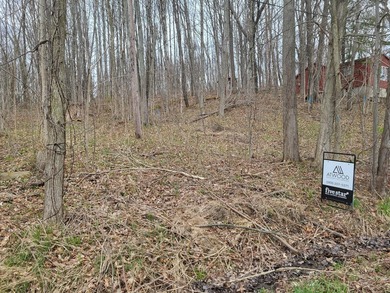 Lake access to all sports Duck lake! This lot is wooded and - photo 2
