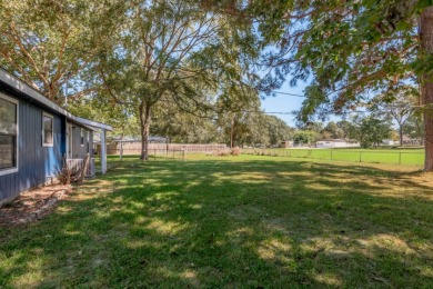 Lake Livingston Access - photo 23