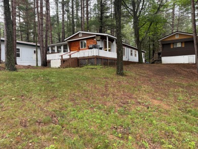 Lake Home For Sale in Minocqua, Wisconsin