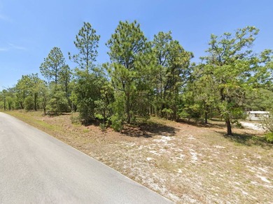Bonable Lake Lot For Sale in Dunnellon Florida