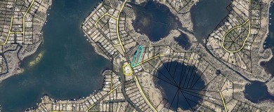 Lake Lot For Sale in Donalsonville, Georgia