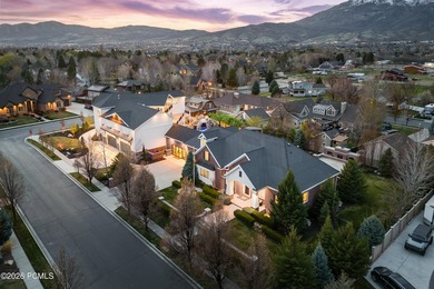 A $1,000,000 price adjustment now positions this residence as - photo 15