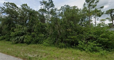 Lehigh Acres Area Lot For Sale in Fort Myers Florida