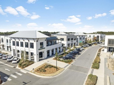 Located in Watersound Origins, 280 Log Landing Street features - photo 49
