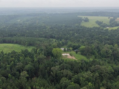 Discover one of the most unique ranch properties in Deep East - photo 2