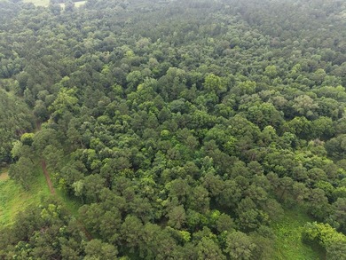 Discover one of the most unique ranch properties in Deep East - photo 3
