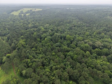 Discover one of the most unique ranch properties in Deep East - photo 4