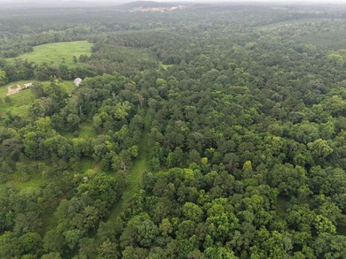 Discover one of the most unique ranch properties in Deep East - photo 6