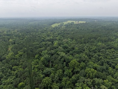 Discover one of the most unique ranch properties in Deep East - photo 8