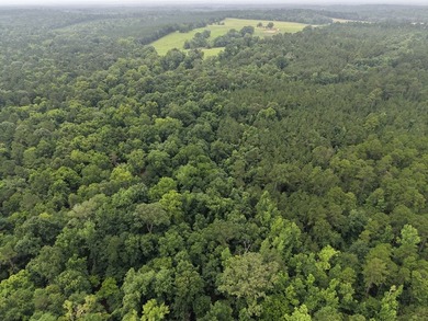 Discover one of the most unique ranch properties in Deep East - photo 9