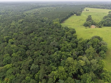 Discover one of the most unique ranch properties in Deep East - photo 10