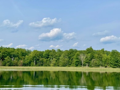 Lake Acreage For Sale in Gaylord, Michigan