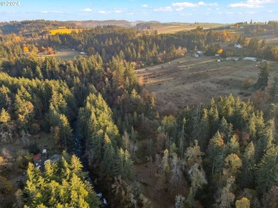 3.990 Gorgeous creek frontage with swimming hole and fishing - photo 2