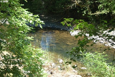 3.990 Gorgeous creek frontage with swimming hole and fishing - photo 9
