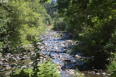 3.990 Gorgeous creek frontage with swimming hole and fishing - photo 10