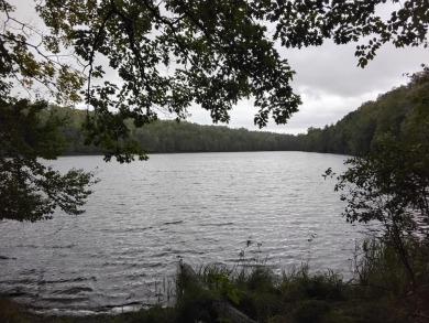 Lake Acreage For Sale in Phelps, Wisconsin