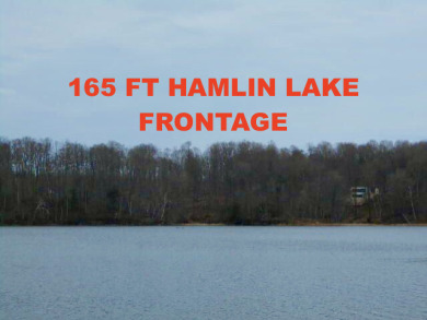 Private & Secluded Building Site on Hamlin Lake! - Lake Acreage For Sale in Free Soil, Michigan