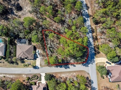 This corner lot property is located in Oak Village of Sugarmill - photo 11