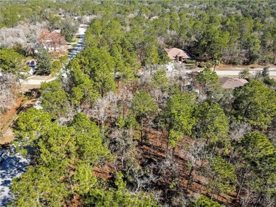 This corner lot property is located in Oak Village of Sugarmill - photo 12