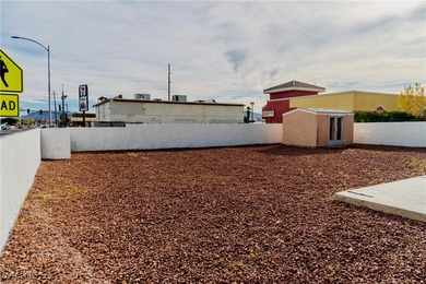 Fully remodeled corner-lot home featuring a spacious backyard