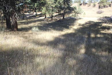 Monte Verde Lake Lot For Sale in Angel Fire New Mexico