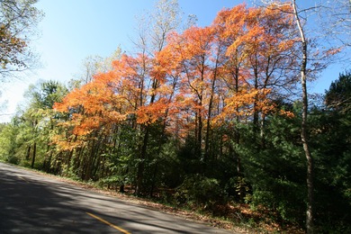 (private lake, pond, creek) Acreage For Sale in South Haven Michigan