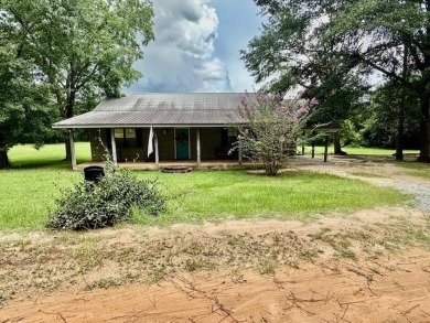 Lake Home For Sale in Donalsonville, Georgia