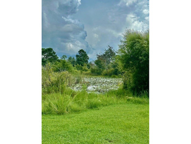 Nestled on the shoreline of Lake Seminole, this charming 2 - photo 5