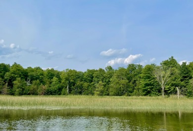 Lake Lot For Sale in Gaylord, Michigan