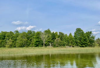 Lake Lot For Sale in Gaylord, Michigan