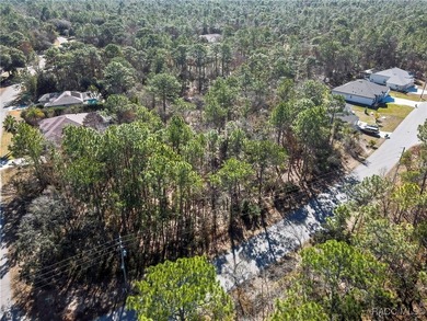 This property is located in Oak Village of Sugarmill Woods which - photo 13