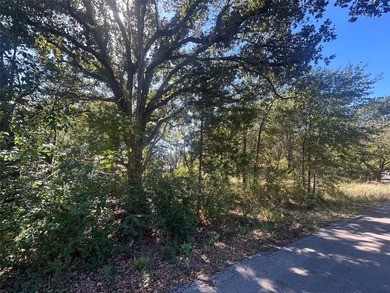 Cedar Creek Lake Lot For Sale in Gun Barrel City Texas