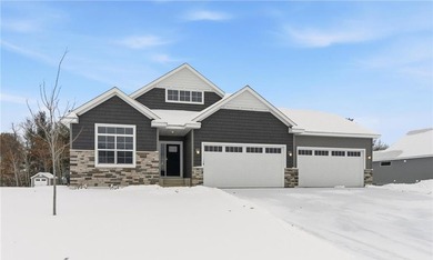 Stony Lake Home For Sale in Big Lake Minnesota