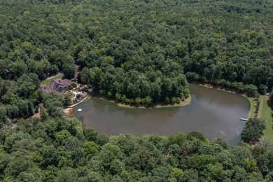 Lake Home For Sale in Midland, Georgia