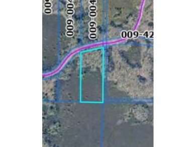 Lake Acreage For Sale in Lake City, Michigan