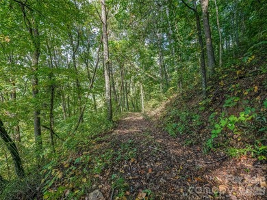 Set across 105.65 acres of pristine mountain landscape, this - photo 44