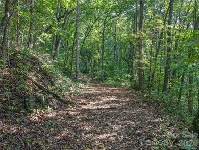 Set across 105.65 acres of pristine mountain landscape, this - photo 45