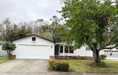 Cape Coral Lakes Area Home For Sale in N. Fort Myers Florida