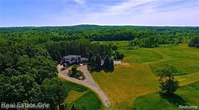 Livingston County's most magnificent property adorned by a solid - photo 5