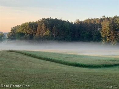 Livingston County's most magnificent property adorned by a solid - photo 6