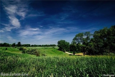 Livingston County's most magnificent property adorned by a solid - photo 8