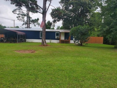 Lake Home For Sale in Donalsonville, Georgia