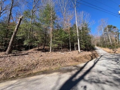 Lake Lot For Sale in Blairsville, Georgia