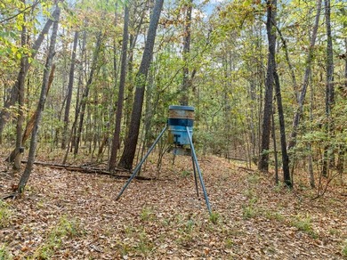 Welcome to 279 Angler Loop in Rayburn Country! This beautifully - photo 9