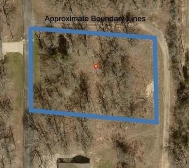 Cedar Creek Lake Lot For Sale in Malakoff Texas