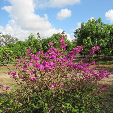 A 16 acre mixed-zoning land is available for sale on SR 64 in - photo 38
