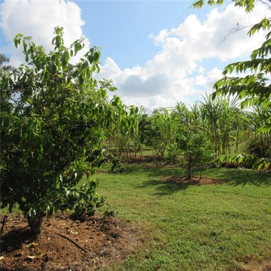 A 16 acre mixed-zoning land is available for sale on SR 64 in - photo 40