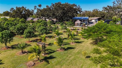 A 16 acre mixed-zoning land is available for sale on SR 64 in - photo 41