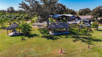 A 16 acre mixed-zoning land is available for sale on SR 64 in - photo 45