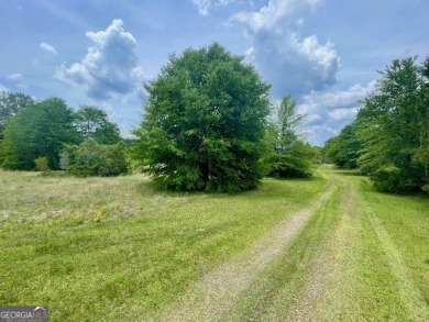 Lake Home For Sale in Wadley, Georgia